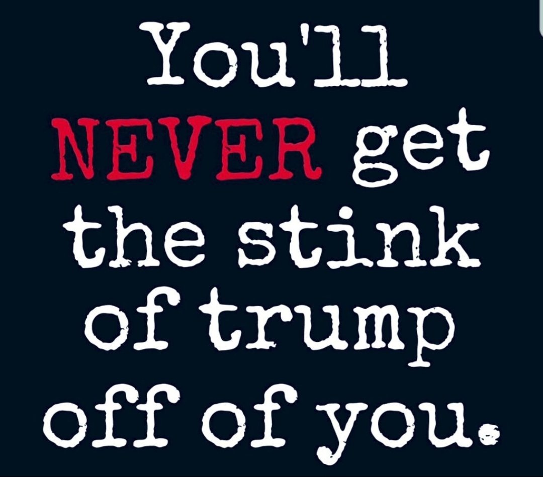 The Pelican tweet media