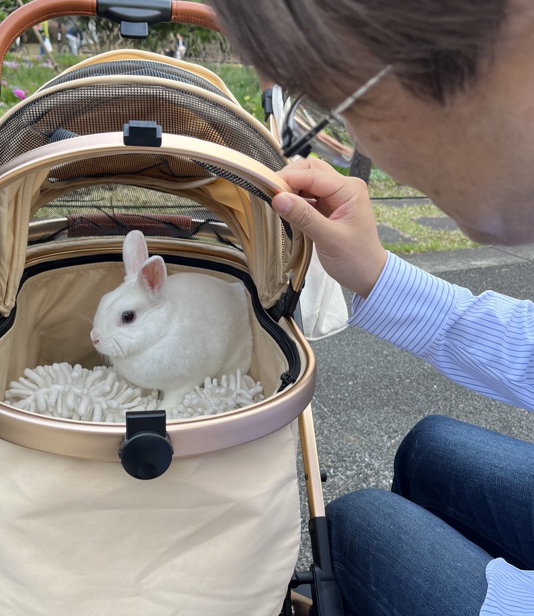 羽生善治 tweet media