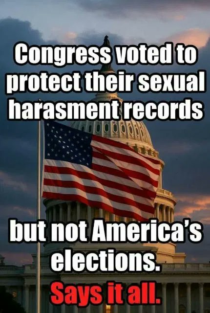 wolf_patriot737 tweet media