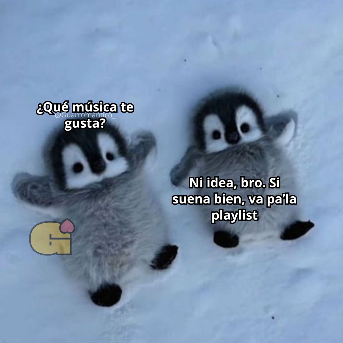 El Guarromántico tweet media