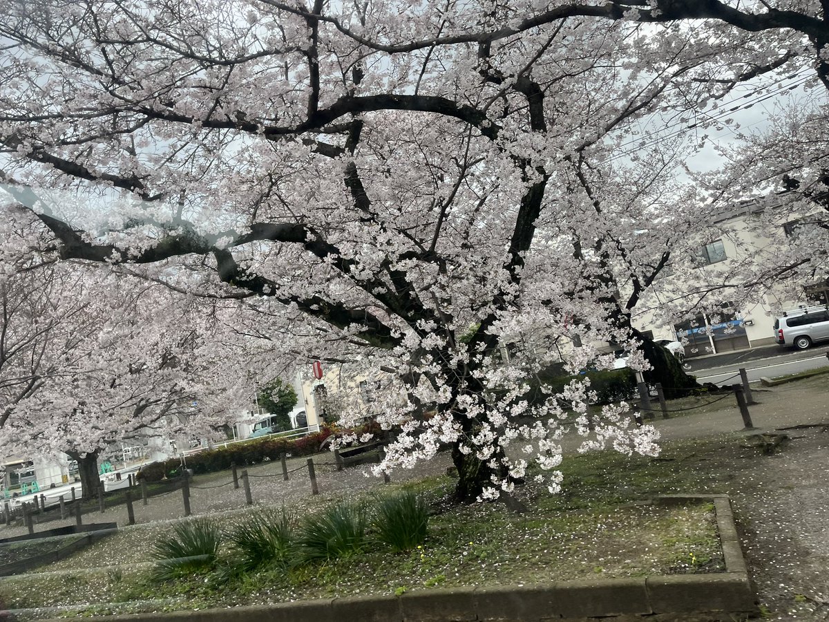 むかで tweet media