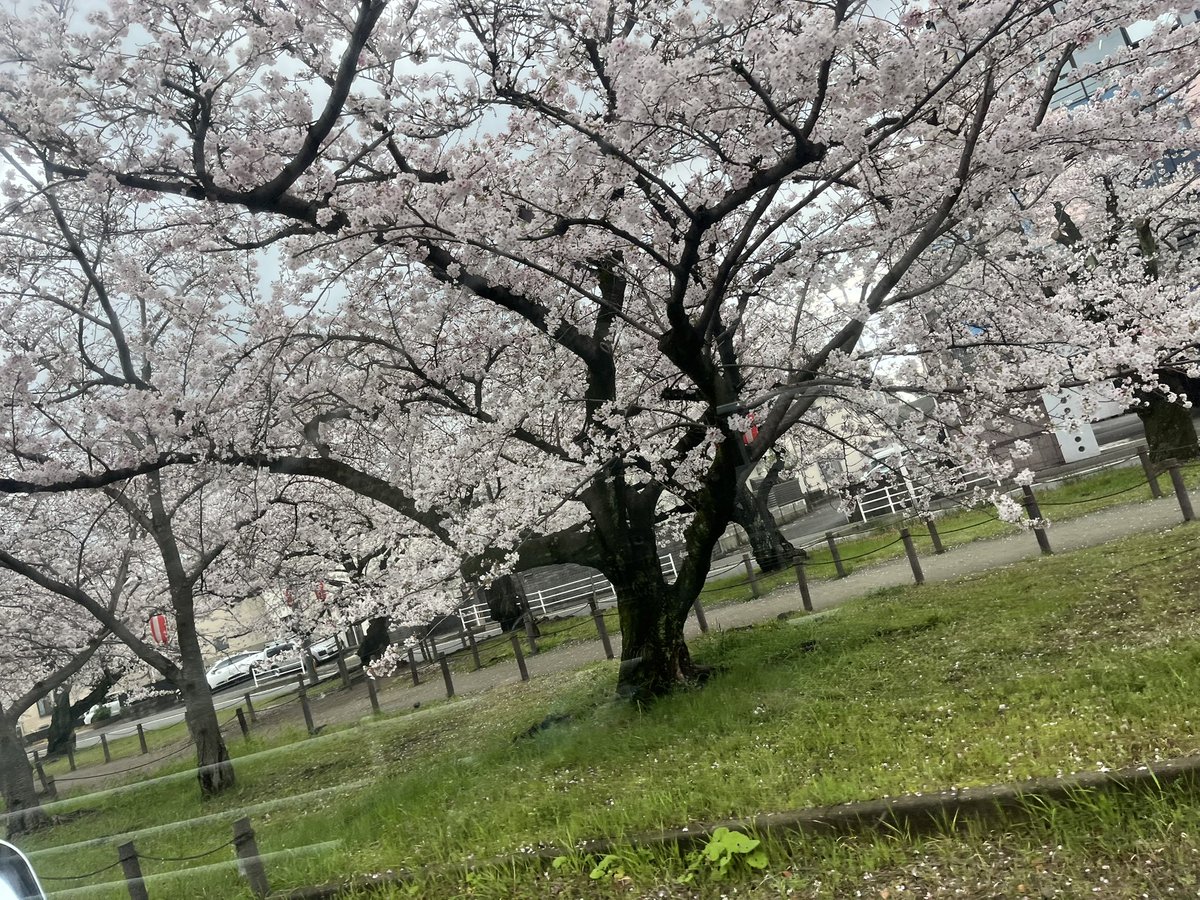 むかで tweet media