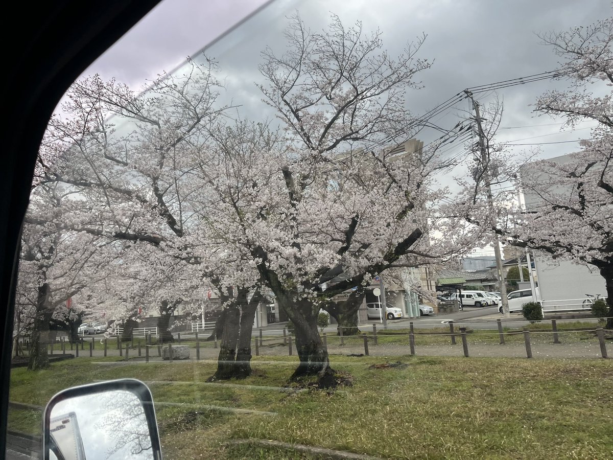 むかで tweet media