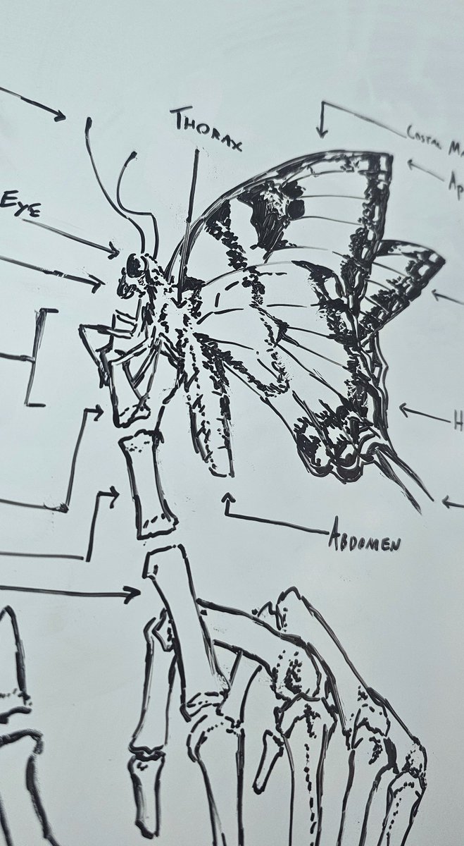 who the fuck is doing this on a whiteboard
