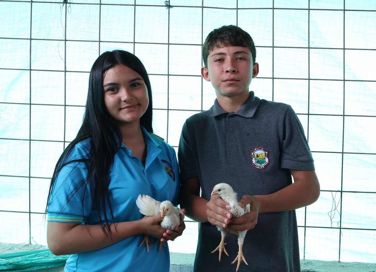 Secretaría de Educación de Cundinamarca tweet media