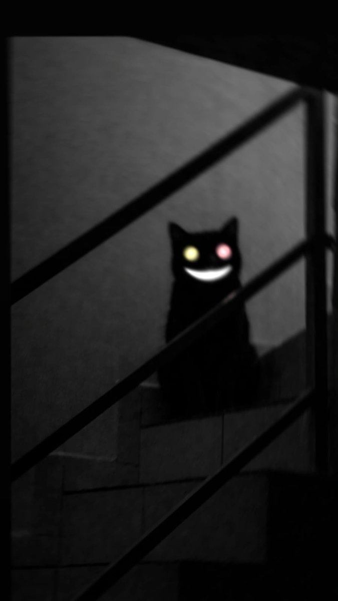 leo_vms's tweet photo. Um dia meu gato tava assim me olhando, aí eu quis brincar com a foto
#FRIEND #DELTARUNE https://t.co/7Tdlk6KNpY