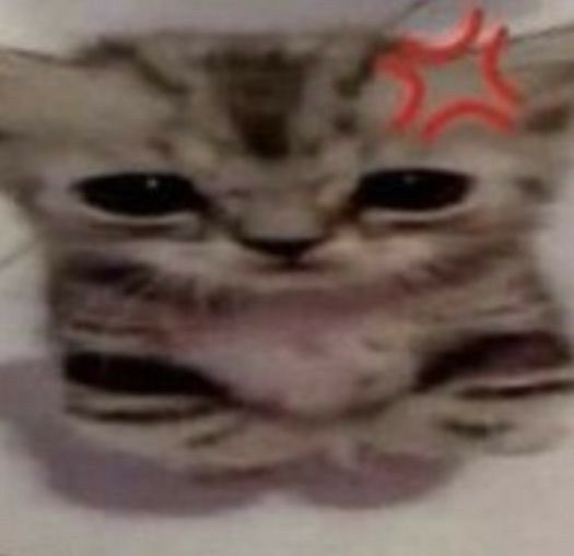 7th year:dei dual𖣂 tweet media