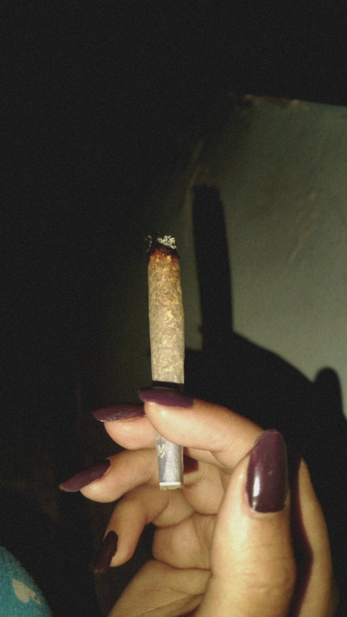 Laنa 🚬 tweet media