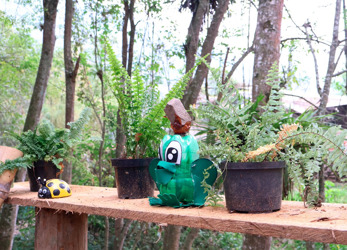 Secretaría de Educación de Cundinamarca tweet media