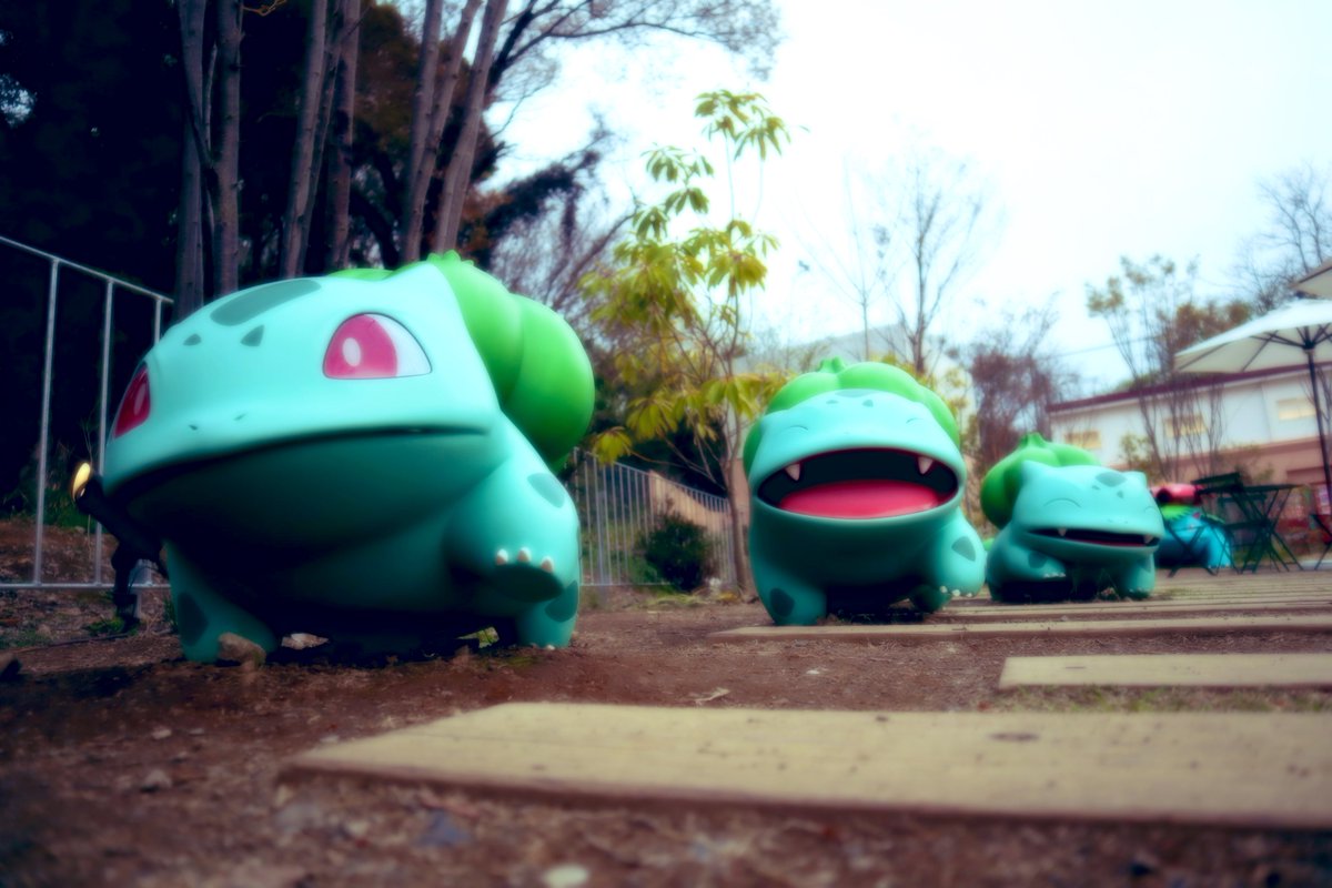 しょみぃー tweet media