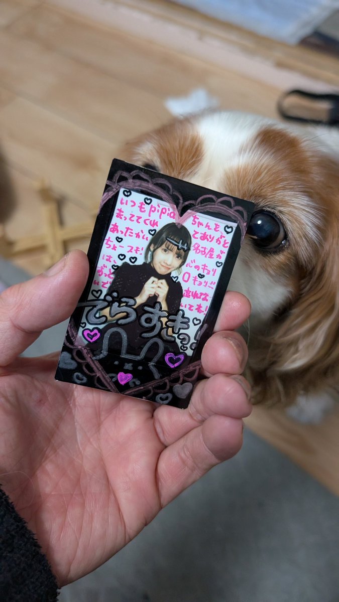 kRR_desperado's tweet image. 先週、白さんが今いるpipia(@pipiaofficial)の名古屋遠征を観させてもらい物販でランブロを引いた(白さんに引かせた)らリーダーのデコチェキが当たりました。
…が、追加メッセージの為に一時預けしたらケースが紛失…お詫びに入浴剤もろた謎！
 
 #aira舞遊が言えなくて
 @pipia_aira