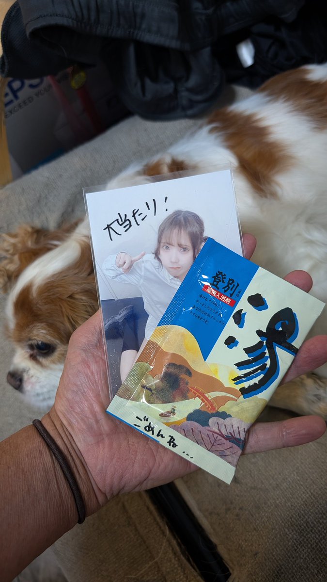 kRR_desperado's tweet image. 先週、白さんが今いるpipia(@pipiaofficial)の名古屋遠征を観させてもらい物販でランブロを引いた(白さんに引かせた)らリーダーのデコチェキが当たりました。
…が、追加メッセージの為に一時預けしたらケースが紛失…お詫びに入浴剤もろた謎！
 
 #aira舞遊が言えなくて
 @pipia_aira