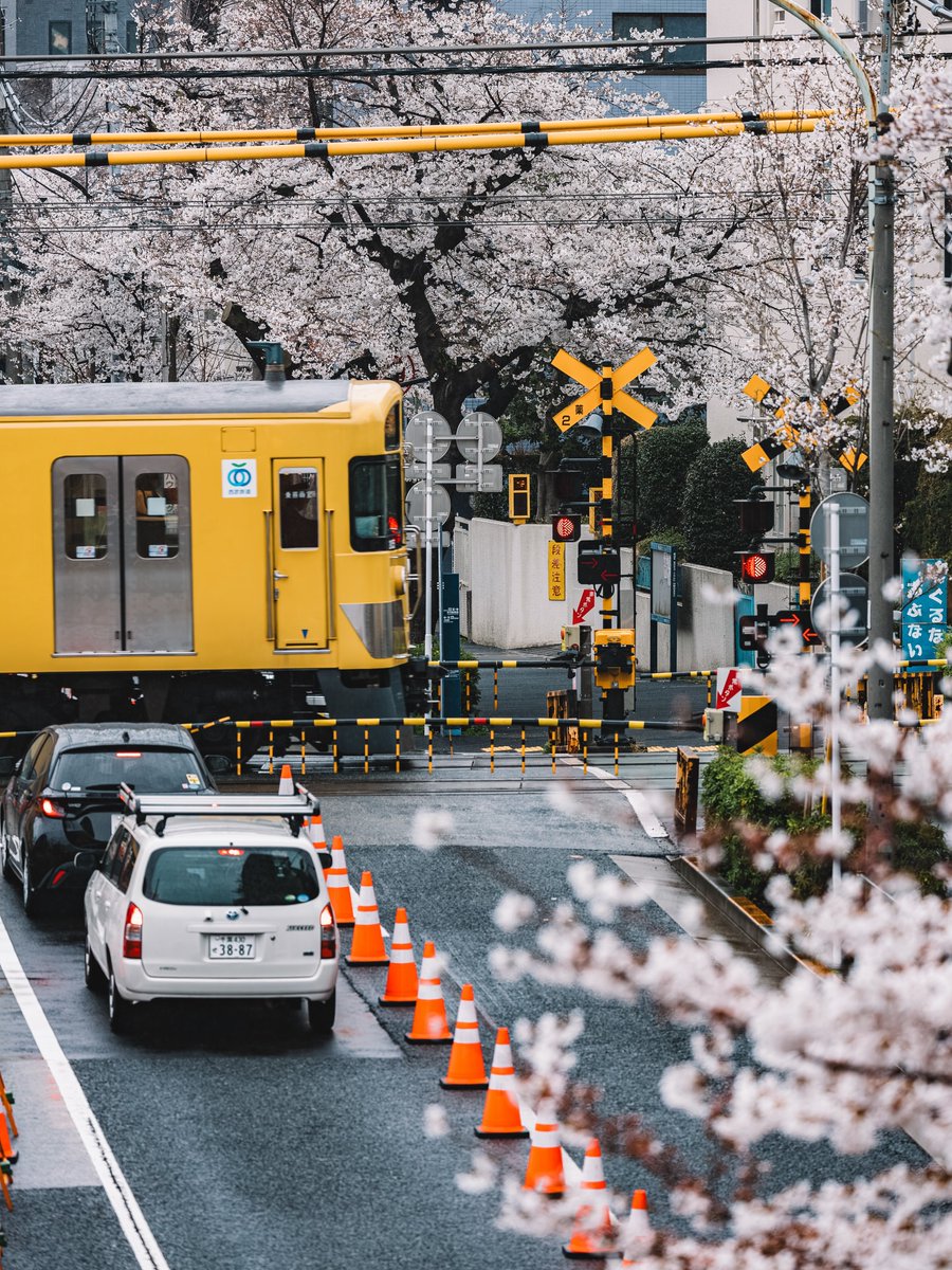 Street stories tweet media