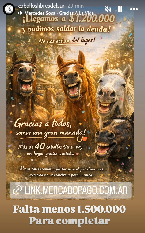 Belphie Evergreen 🍏🐴 tweet media