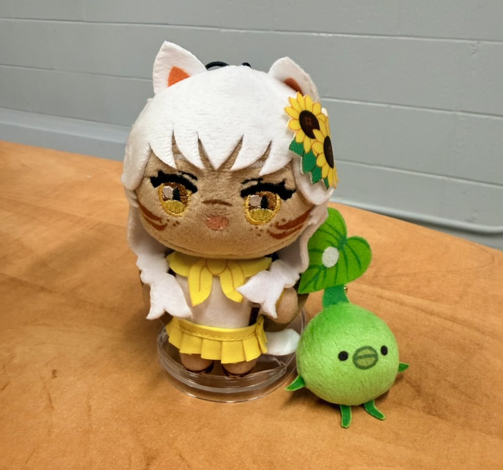 ☀️ Sol 🔜 NA Fanfest tweet media