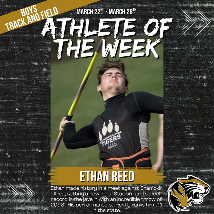 SoCoTigerSports tweet media