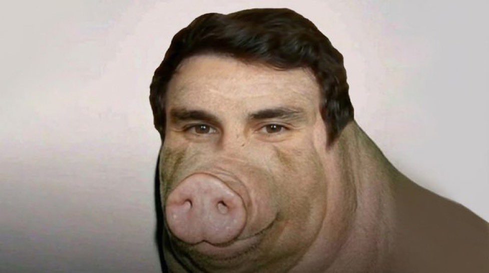 Lincoln 🇿🇦 tweet media