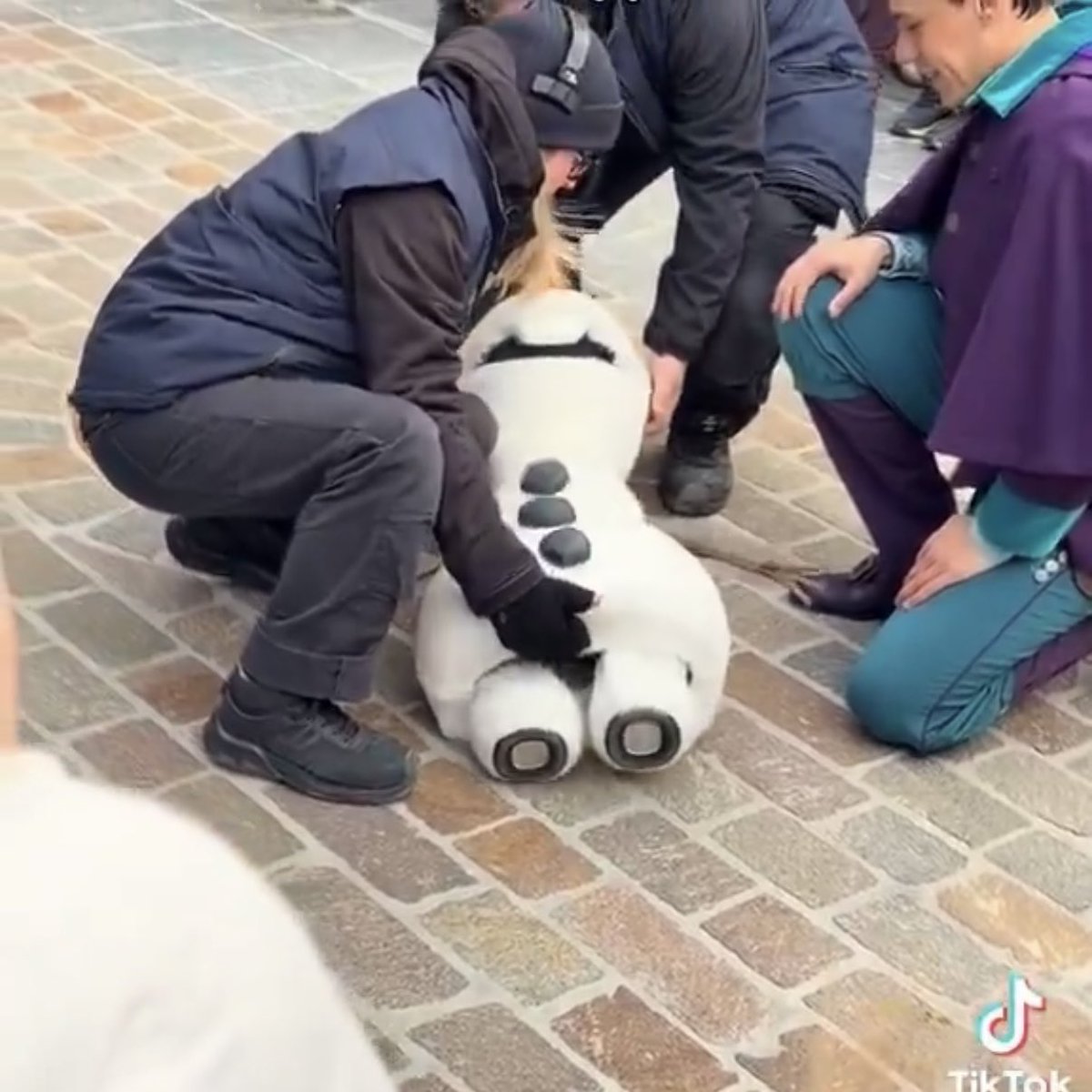 Tom Zohar tweet media