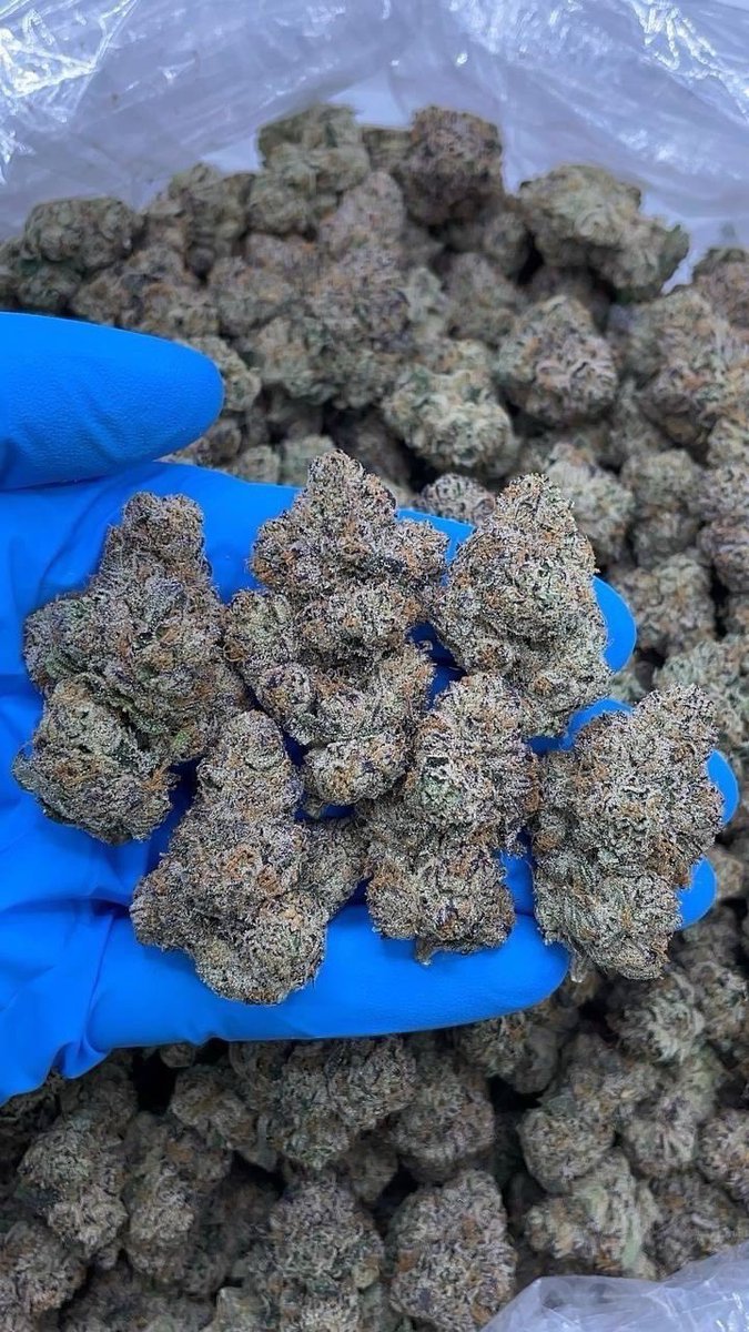 TERPZ FARM tweet media