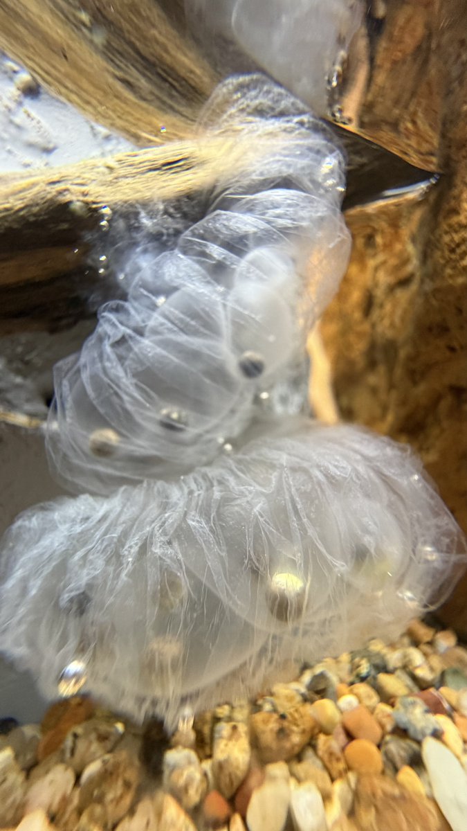 山内 創 tweet media