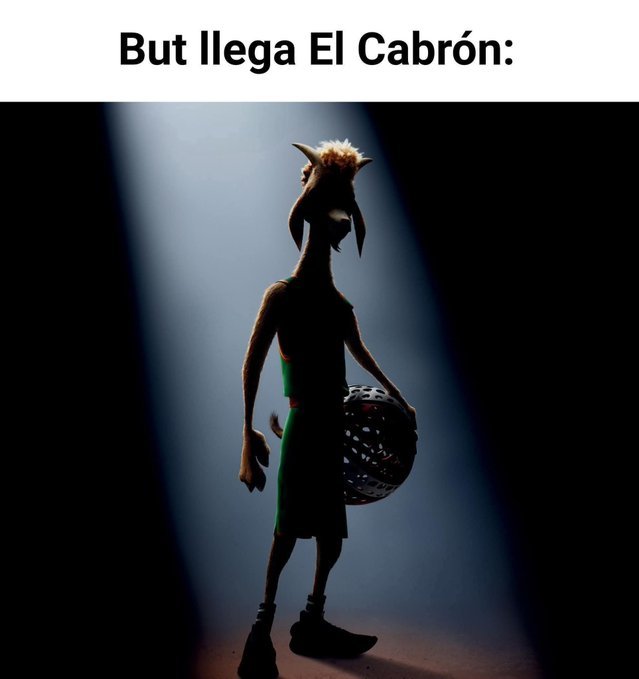 Momazos Nauta tweet media