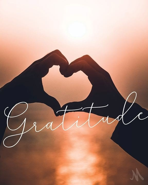 Sylvie Lacelle tweet media