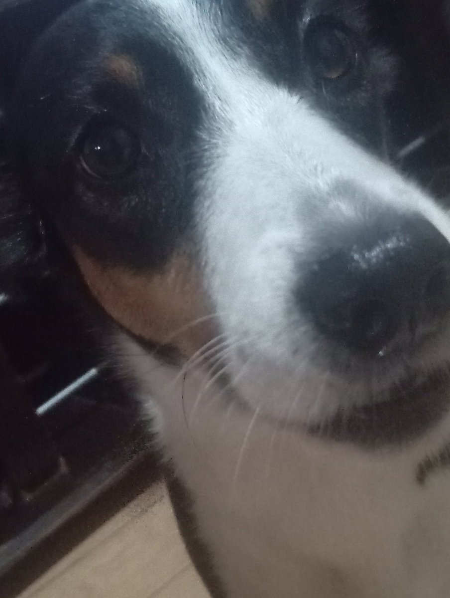 davi OR3/춤 CHOOMᶜʳᶠ⁴⁺⁹⁺⁷⁺⁵ 🏀 (39-36) tweet media