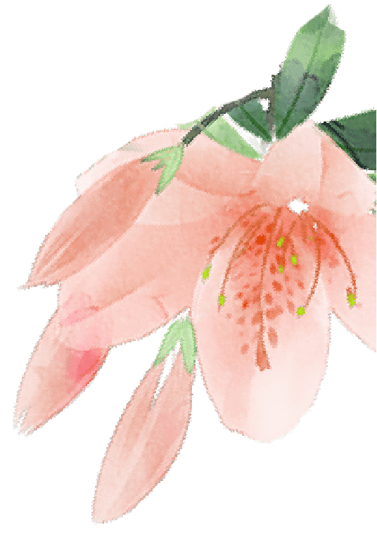 Rafał Dbw tweet media