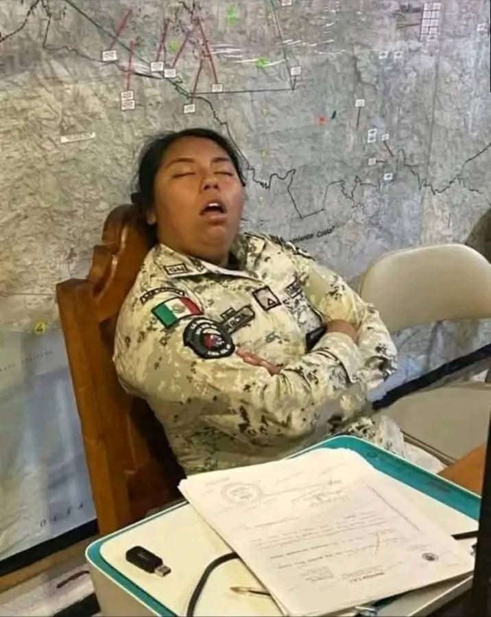 pancho el rodriguez tweet media