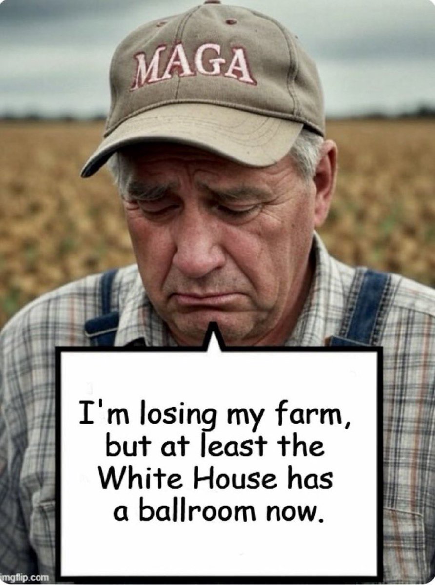 TPBlue 🇺🇸🦅 tweet media