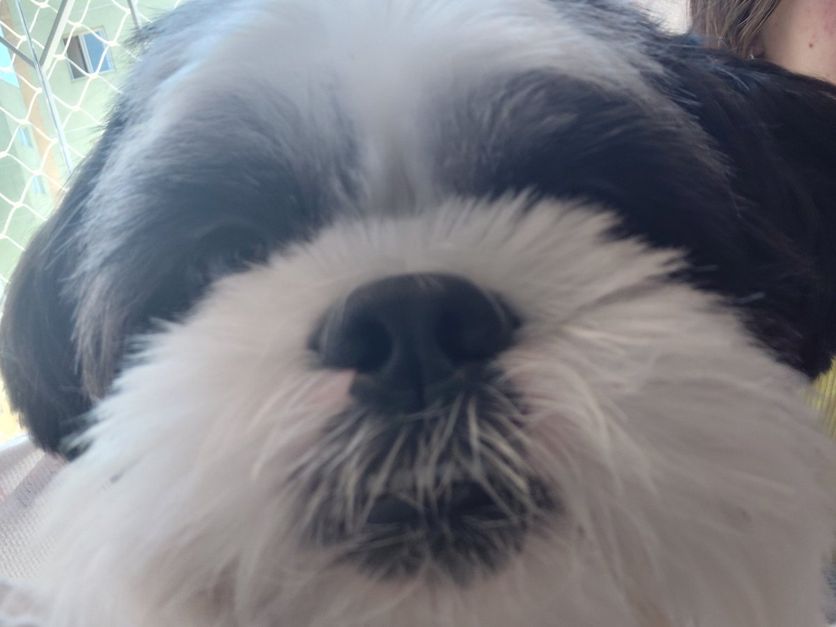 ⊹ ‧₊˚ ౨ৎ tweet media