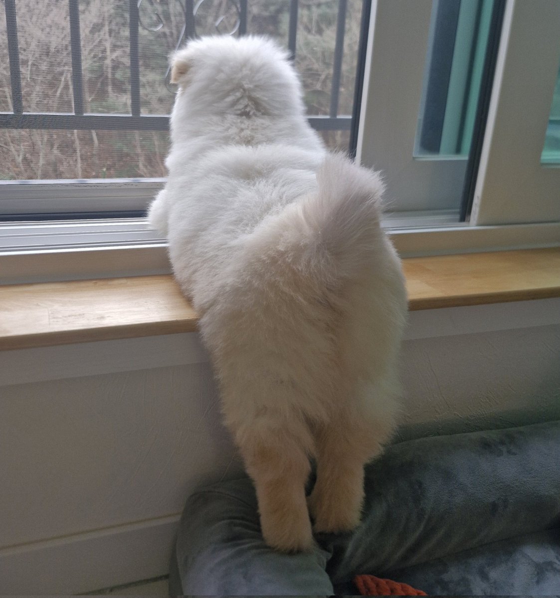 덕배네🏡 tweet media