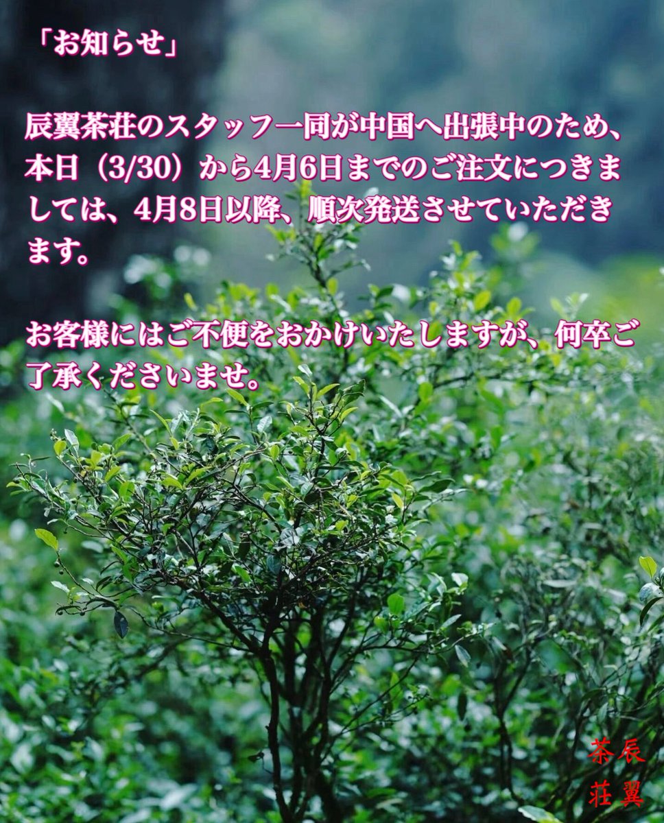 「お知らせ」

辰翼茶荘のスタッフ一同が中国へ出張中のため、
本日（3/30）から4月6日までのご注文につきましては、4月8日以降、順次発送させていただきます。

お客様にはご不便をおかけいたしますが、何卒ご了承くださいませ。

お茶と一緒に生活の美を作り出しましょう。
Let‘s create the beauty