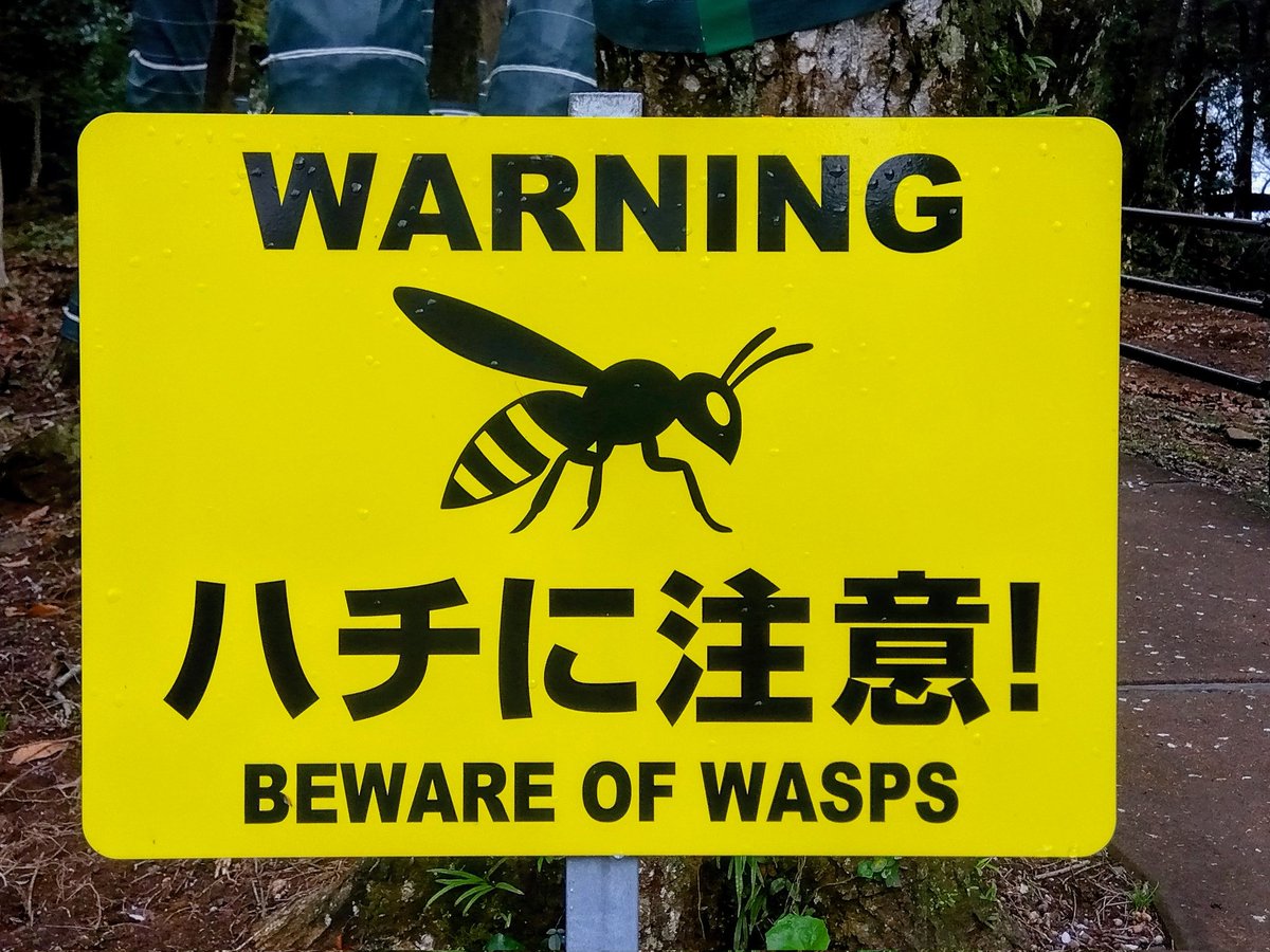 虎馬提督@幌筵陽炎嫁 tweet media