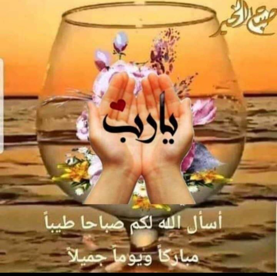 طائر الغدير tweet media