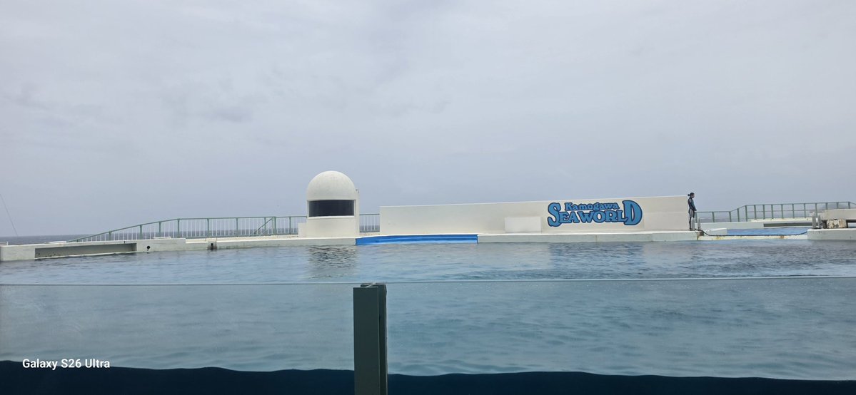 わんぱく@ミカン tweet media