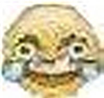 unidad básica zhang hao tweet media