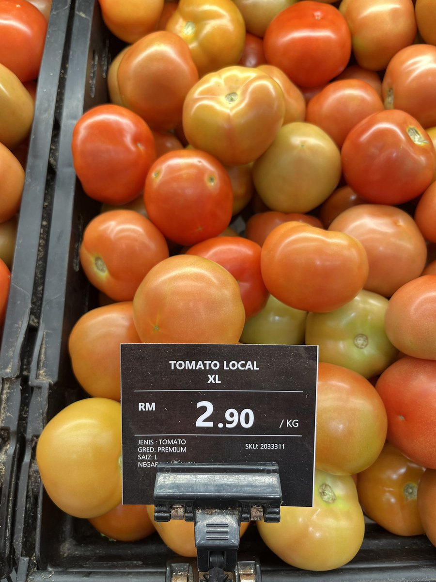 たびこ🇲🇾 tweet media