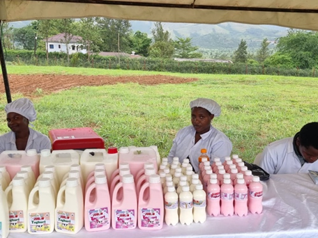 Young Farmers Champions Network - YOFCHAN tweet media