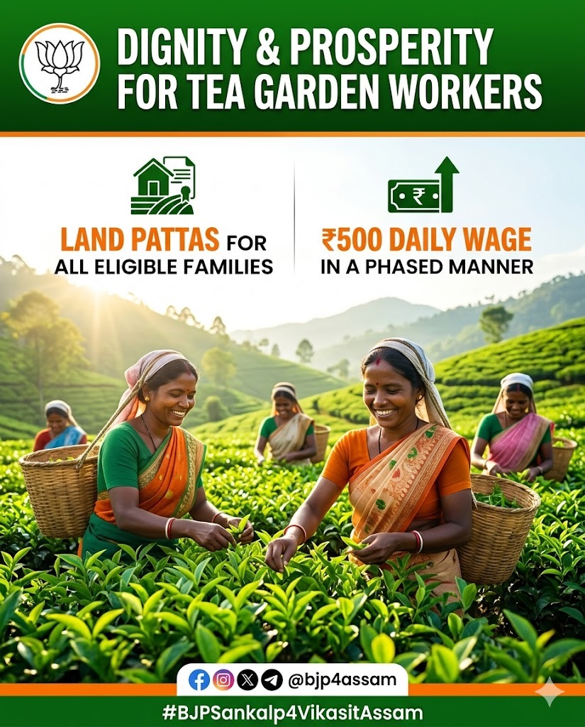 Fair pay for hard work. We are committed to increasing the daily wage of our tea garden workers to ₹500 in a phased manner.
#BJPSankalp4VikasitAssam