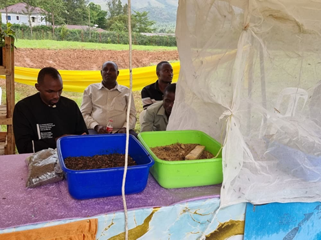 Young Farmers Champions Network - YOFCHAN tweet media