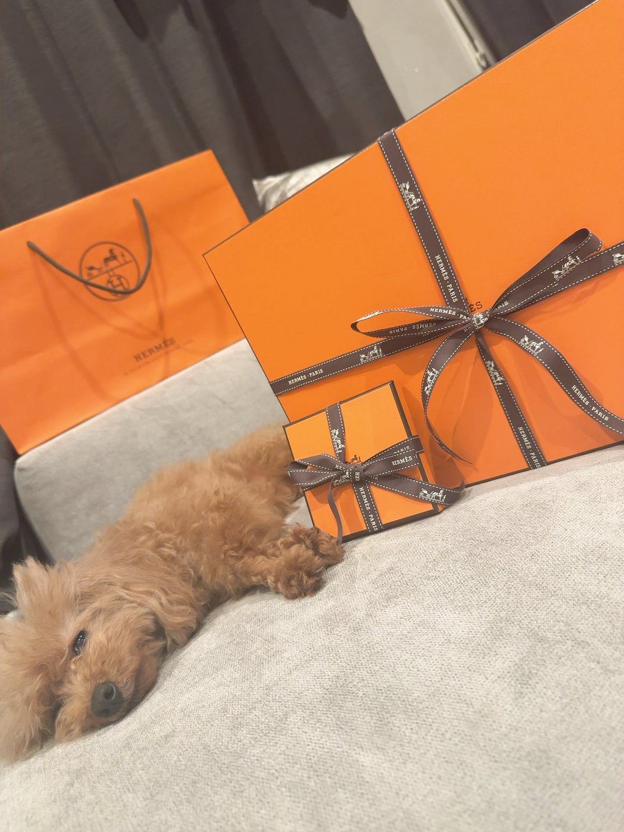 百合野 千華 tweet media