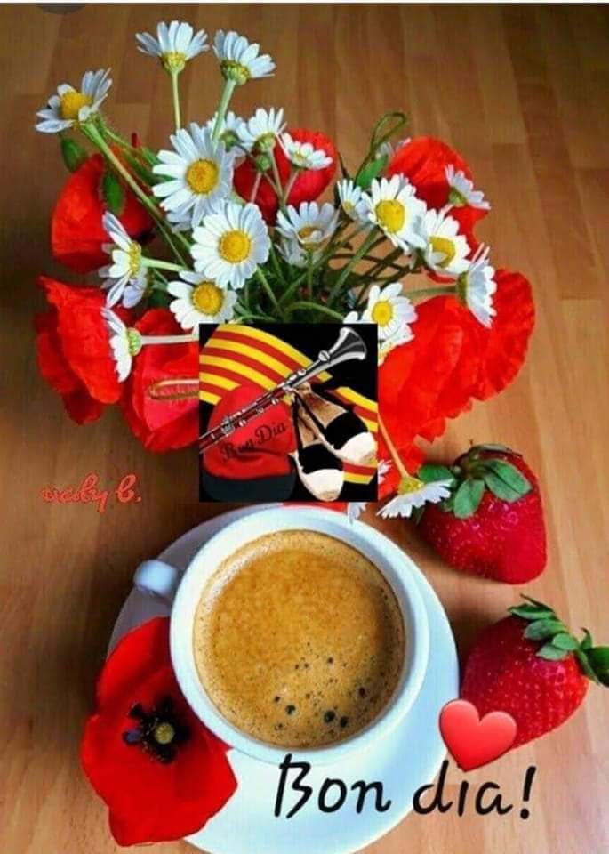 Antoni Walter Castelló i Klein tweet media