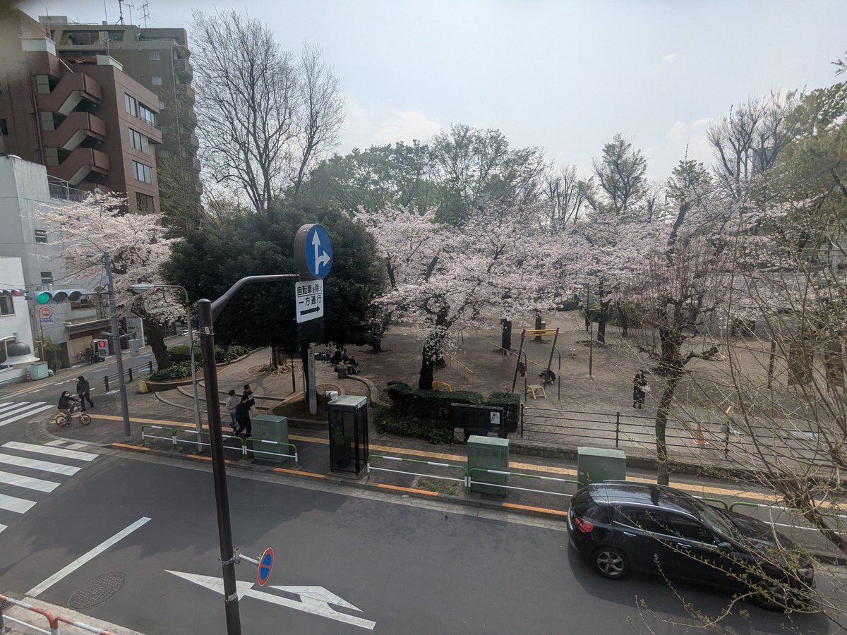 GEKIBA's tweet photo. 今年もGEKIBAの隣、西池袋公園の桜が満開になりました🌸
非常階段から桜が見れて幸せです🌸
4月5日（日）は17時から、西池袋公園にてお花見を開催します！
お時間ありましたら、是非お気軽にお越しください😊 https://t.co/80y7jNEA0W
