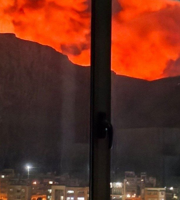 Everything honey tweet media