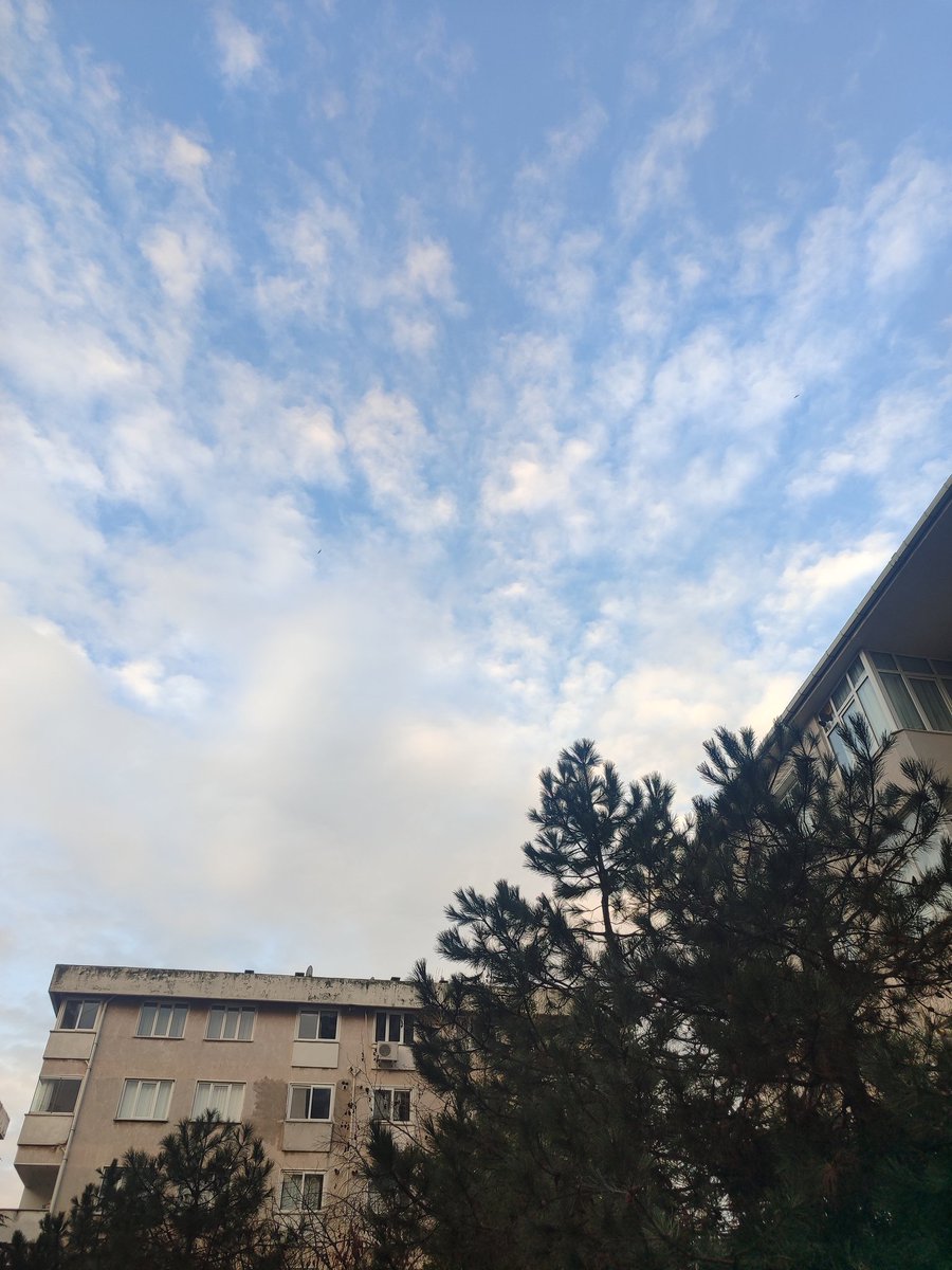 GECE(mavi) tweet media