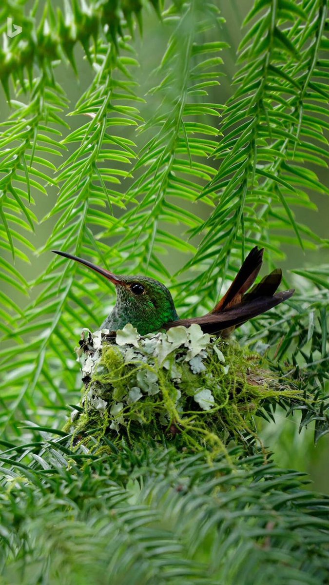 Mubeen Malik (@mubeenmali38472) on Twitter photo 