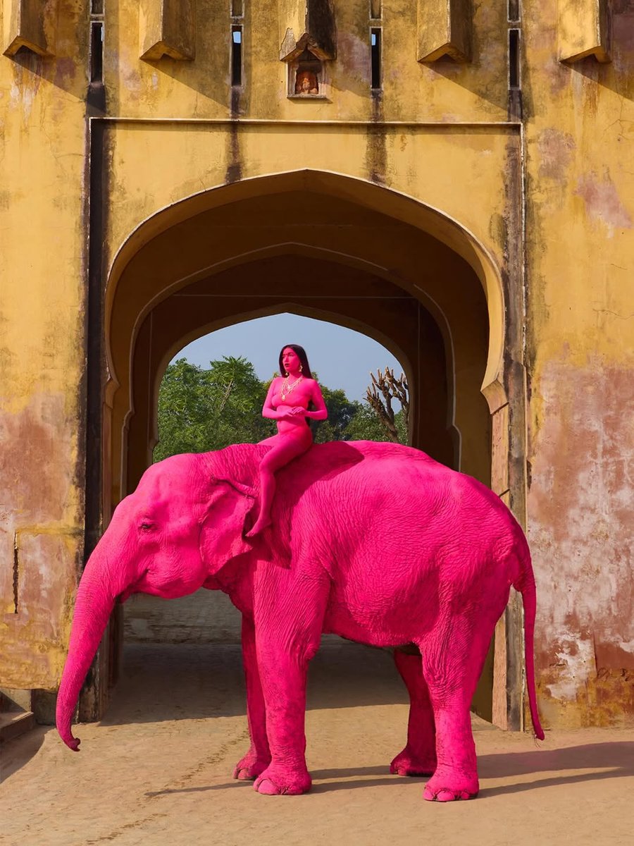 ︎ ︎venom tweet media