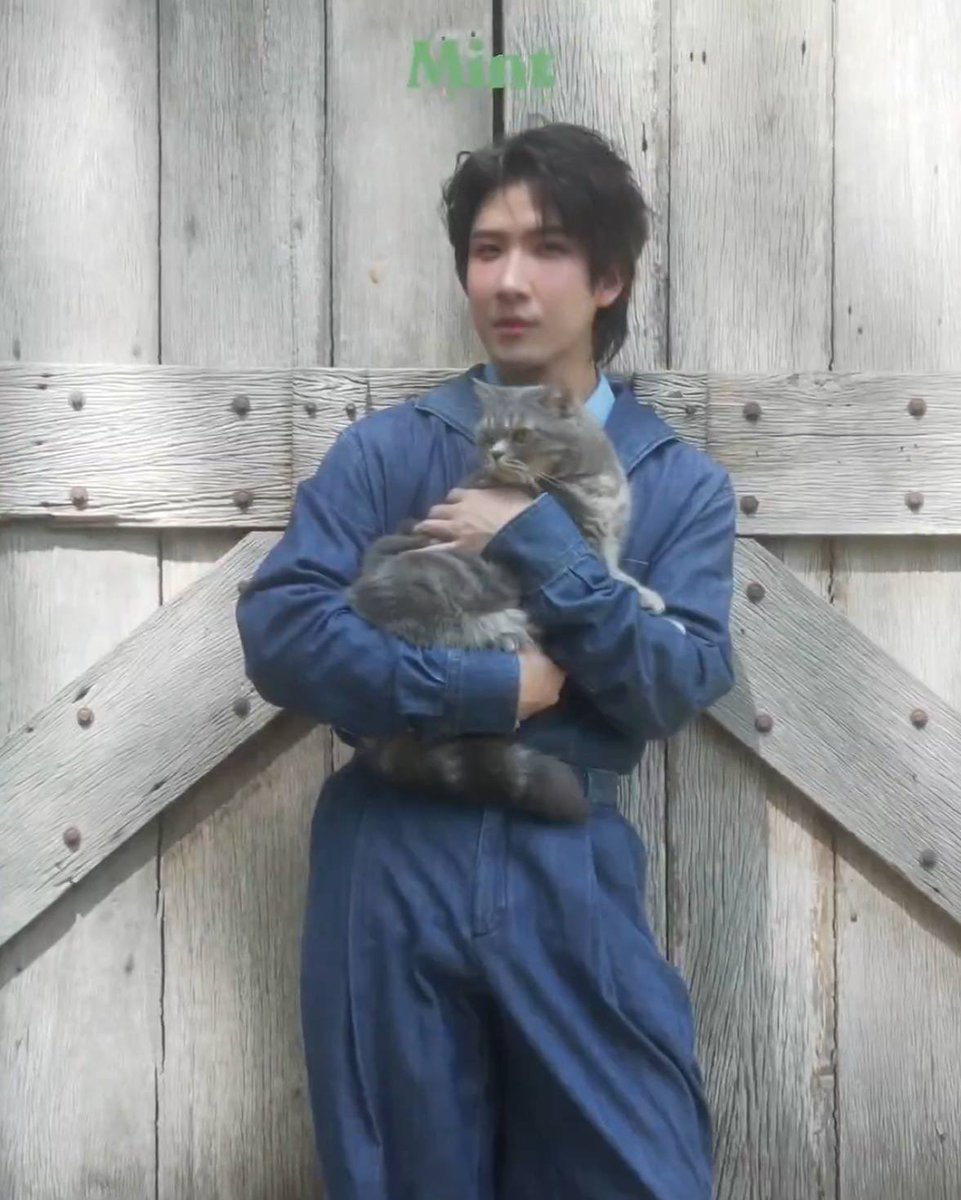 liya ☽ firstmeow tweet media