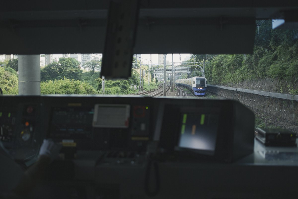 どんぶり tweet media